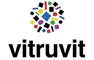 Vitruvit
