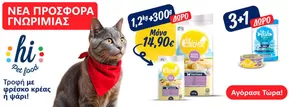 Κατάλογος Pet City σε Ηράκλειο | Pet City προσφορές | 2025-05-31T00:00:00.000Z - 2025-06-14T00:00:00.000Z