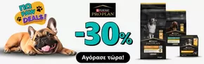 Κατάλογος Pet City σε Χαλκίδα | Pet City προσφορές | 2025-06-13T00:00:00.000Z - 2025-06-27T00:00:00.000Z